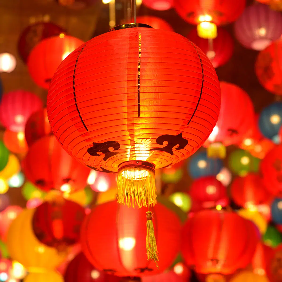 The Character Traits of People Born In The Year of The Rabbit