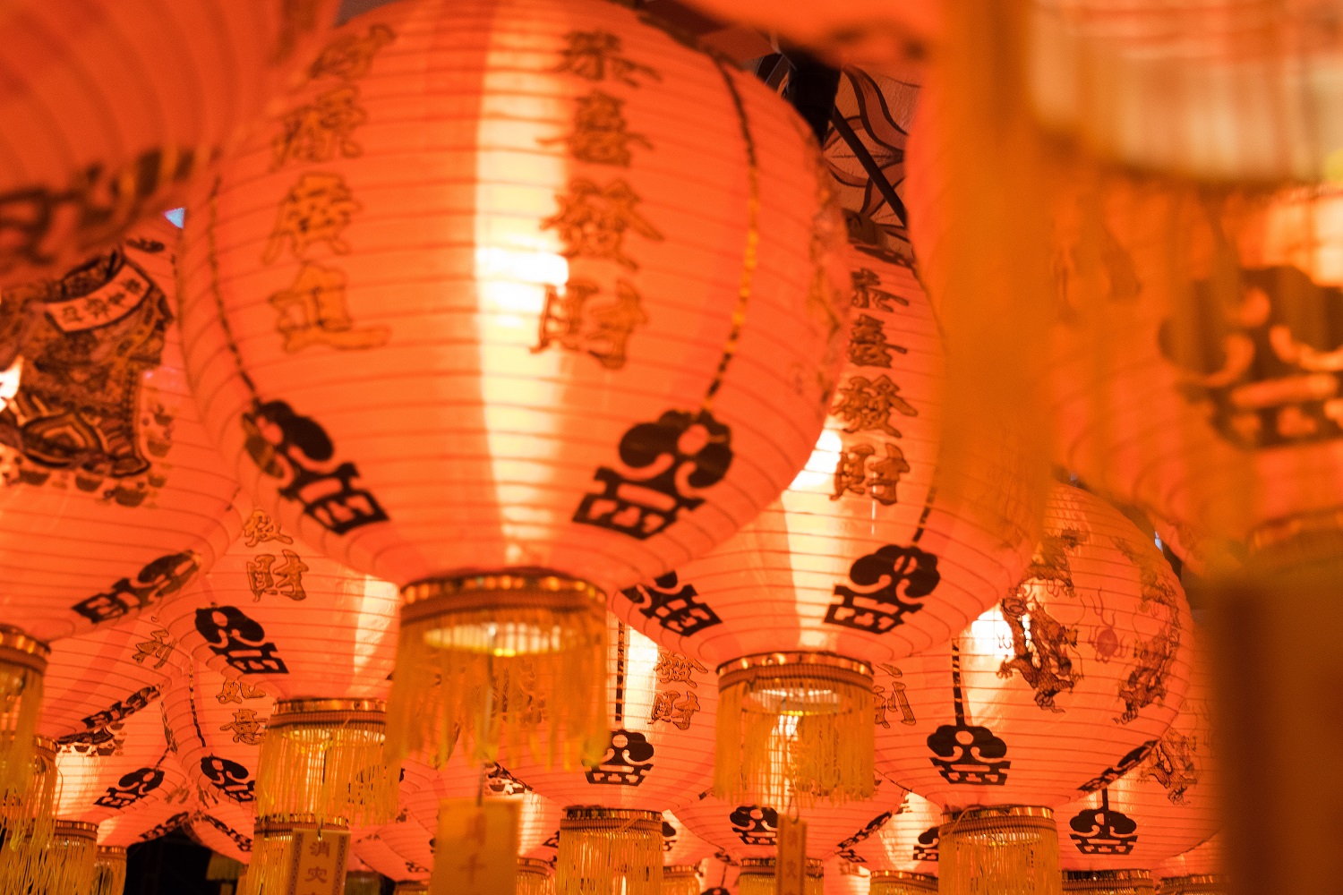 Everything you want to know about the Year of the Rat!